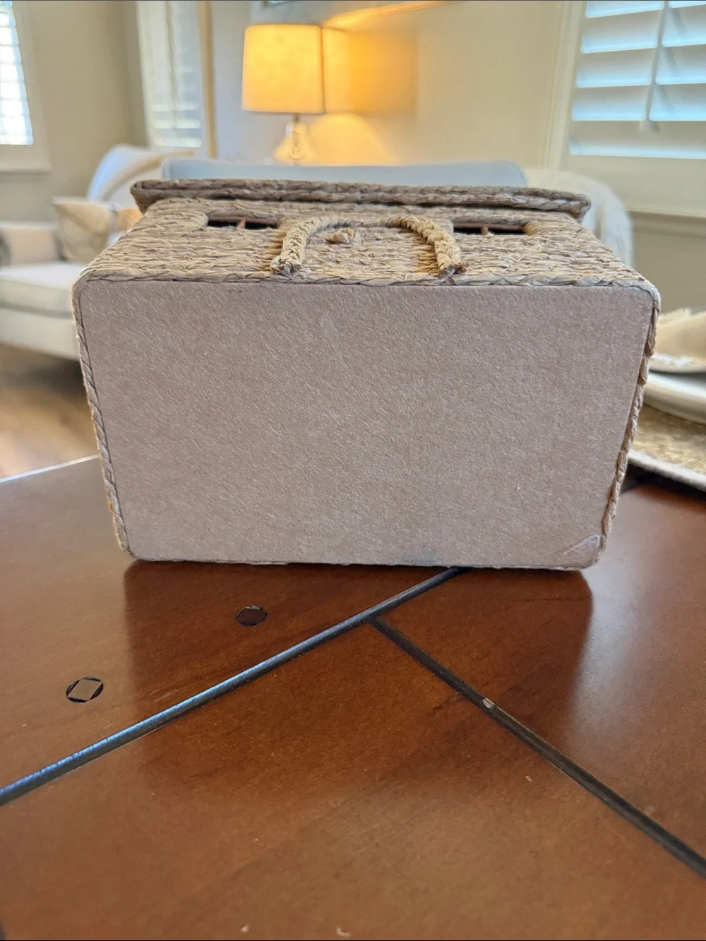NWT Viral Target Bullseye - Woven House Storage Box